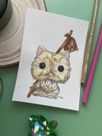 Micromichis individuales©