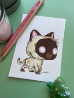 Micromichis individuales©